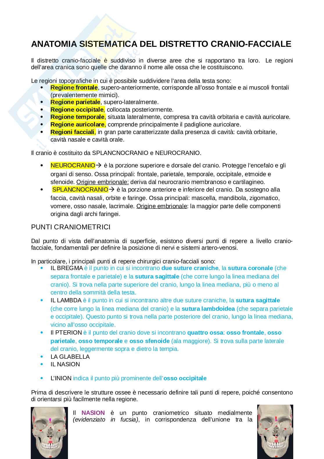 Anatomia della testa Pag. 1