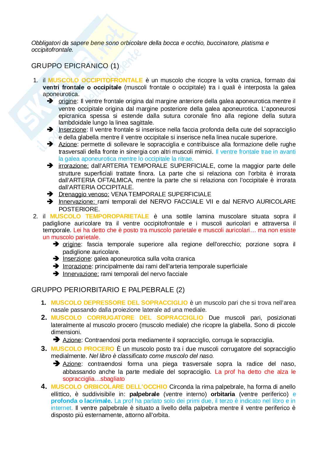 Anatomia della testa Pag. 41