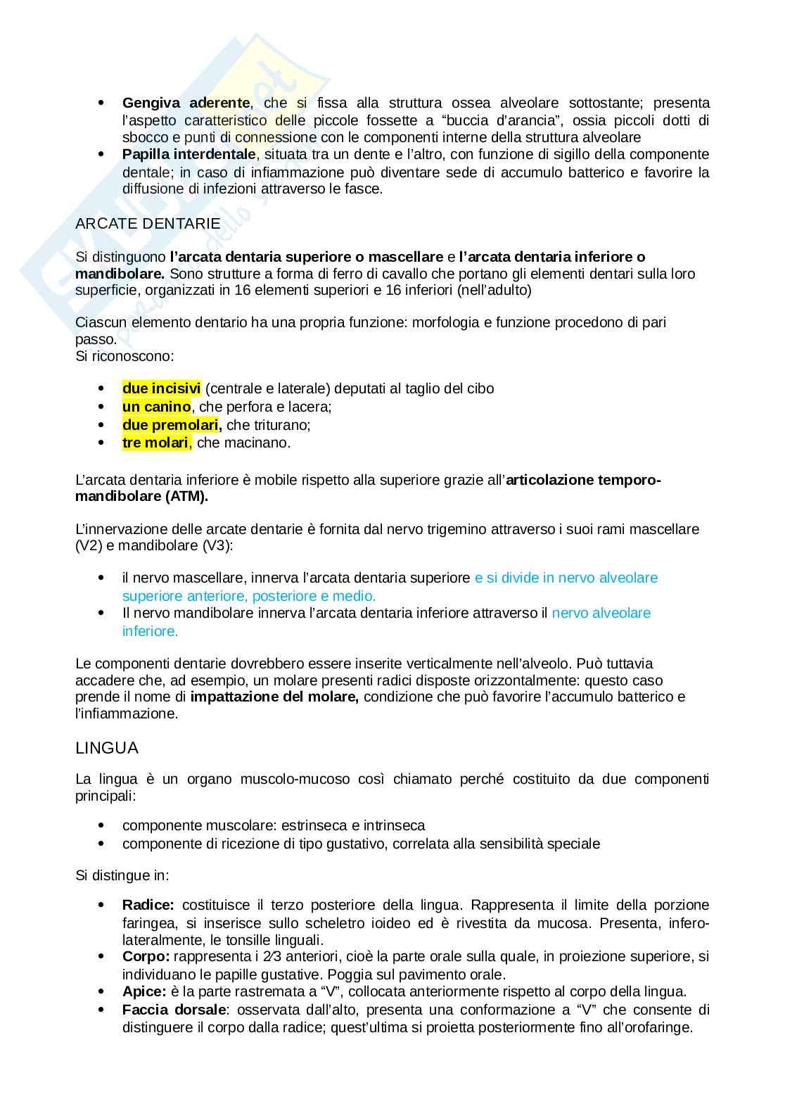 Anatomia della testa Pag. 51