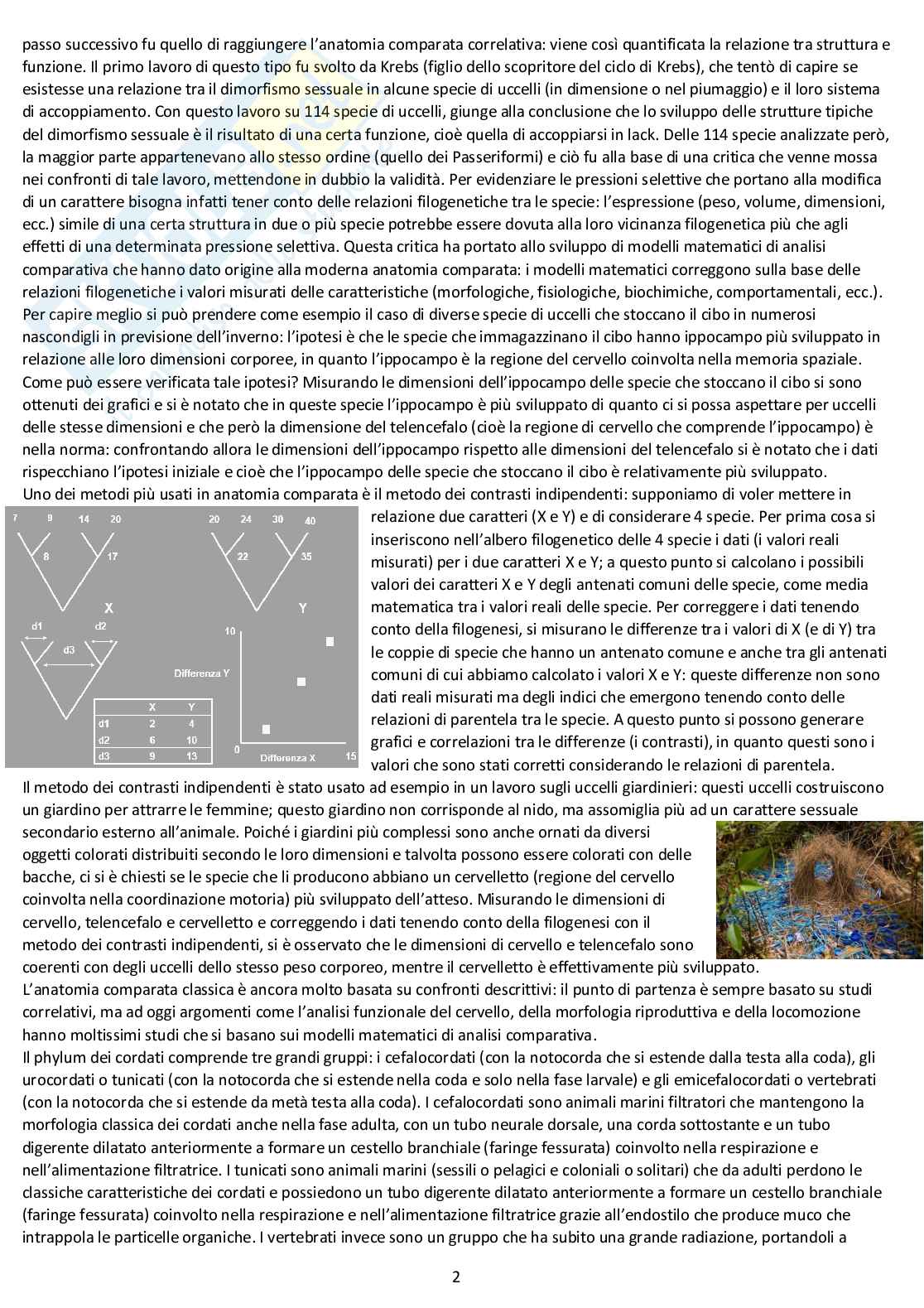 Anatomia comparata: appunti completi d'esame Pag. 2