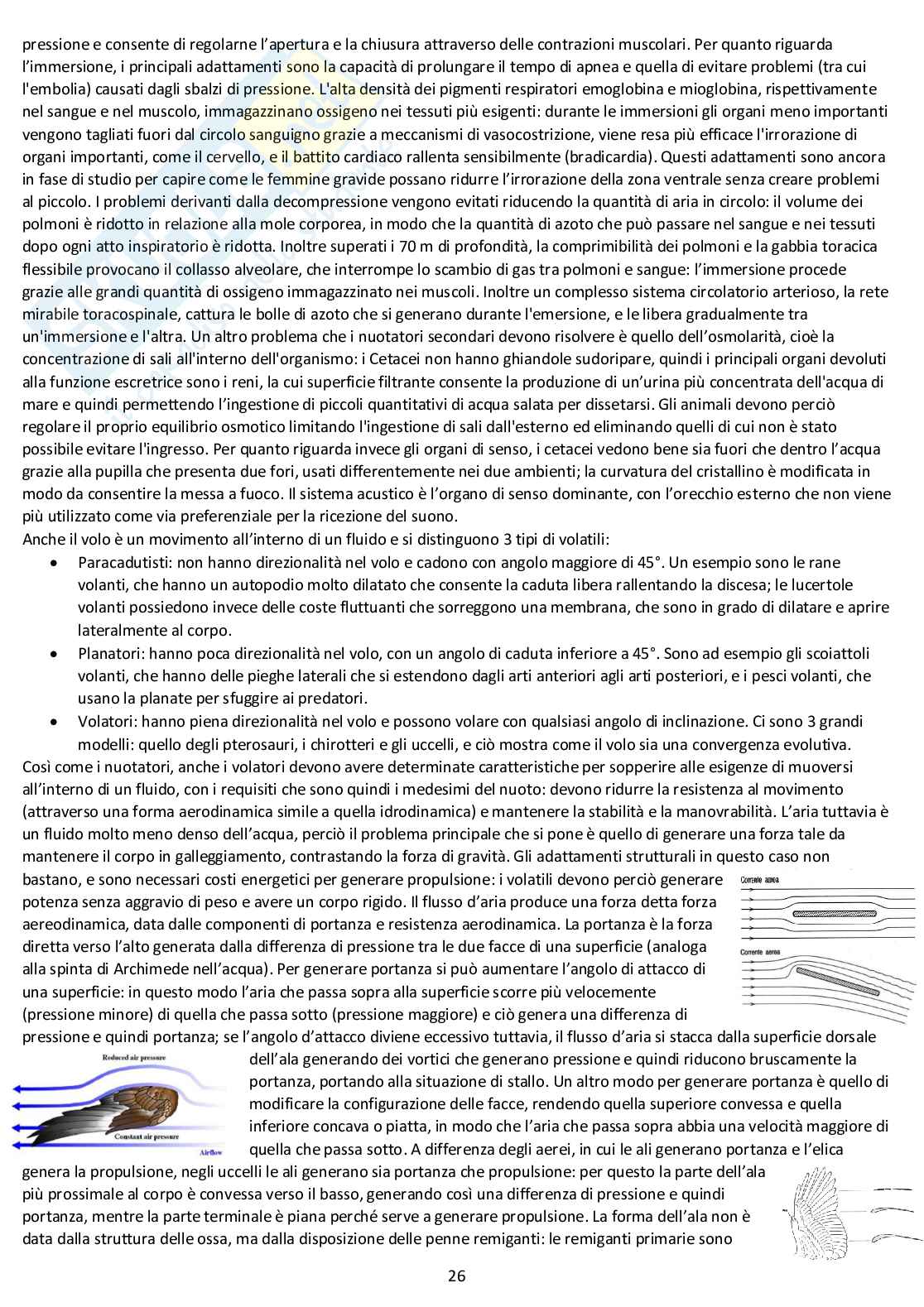 Anatomia comparata: appunti completi d'esame Pag. 26
