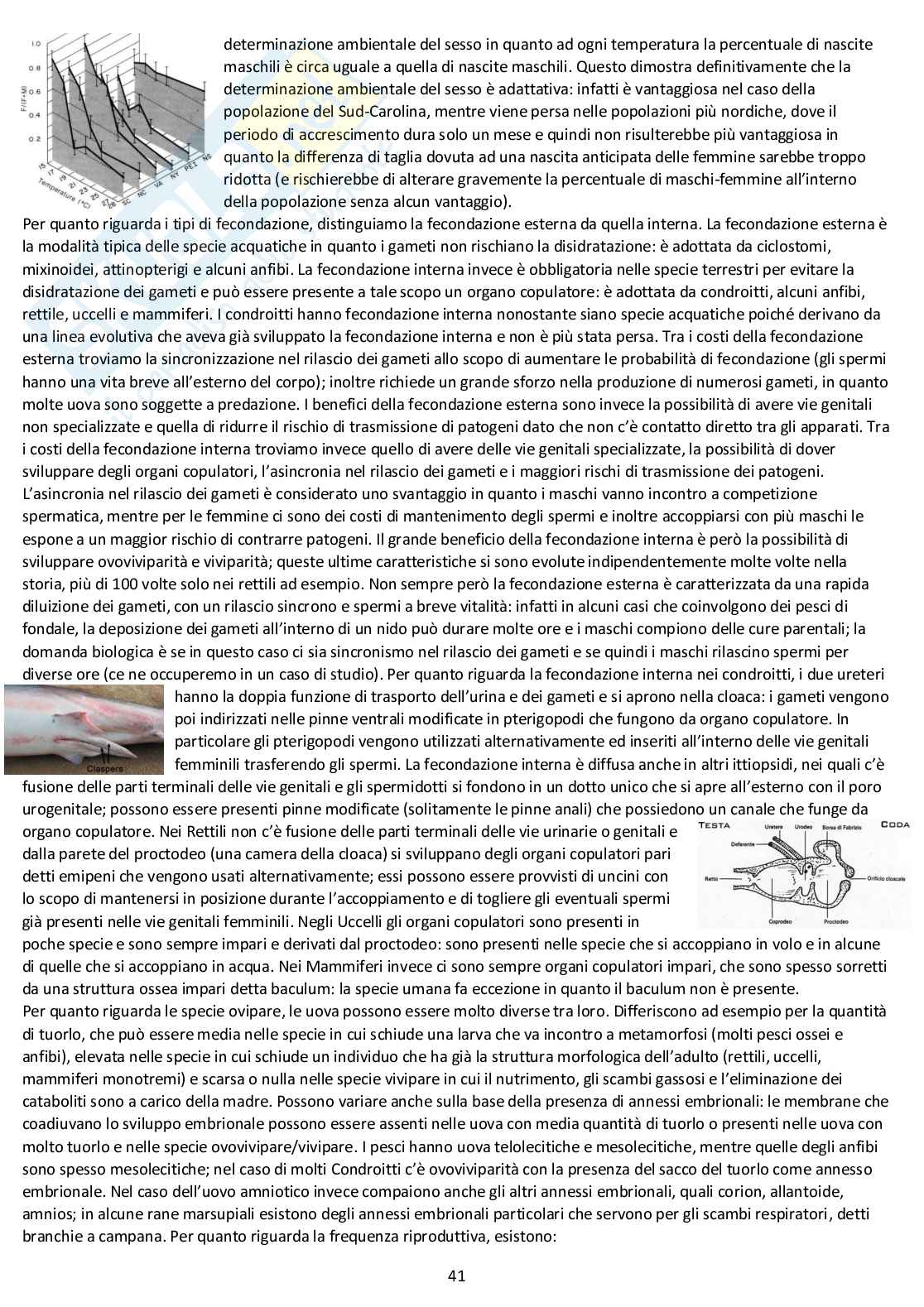 Anatomia comparata: appunti completi d'esame Pag. 41