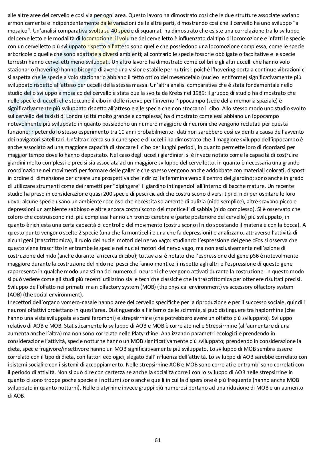 Anatomia comparata: appunti completi d'esame Pag. 61