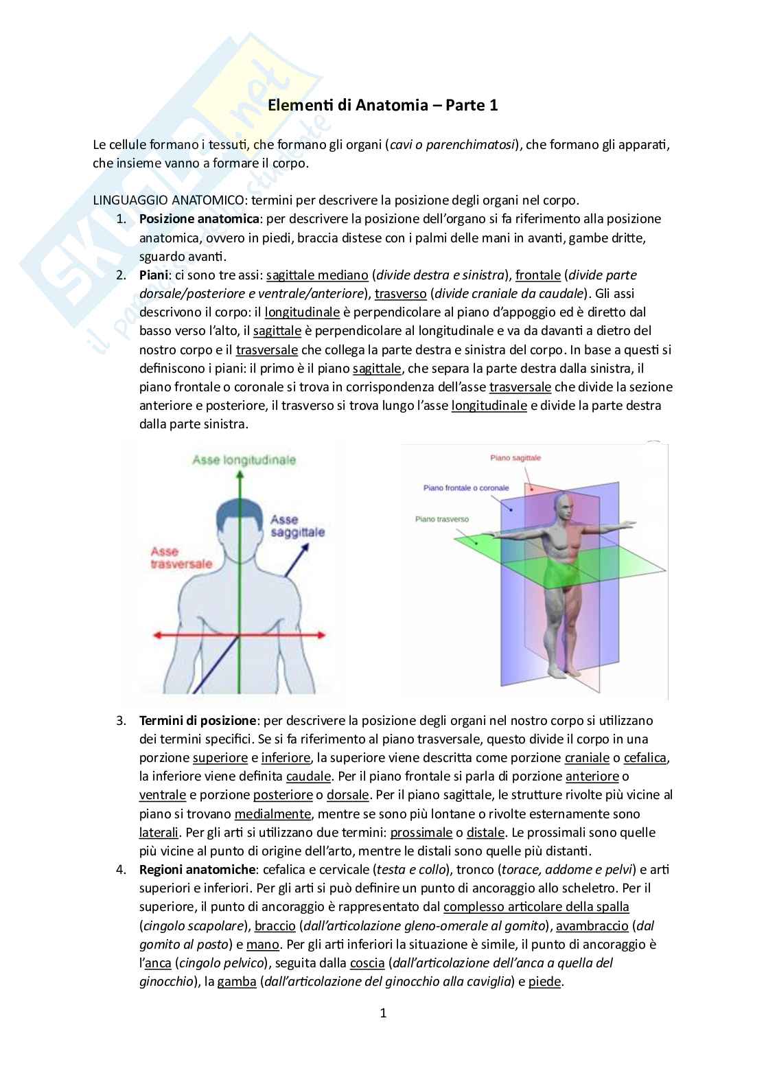 Elementi di Anatomia - Parte 1 Pag. 1