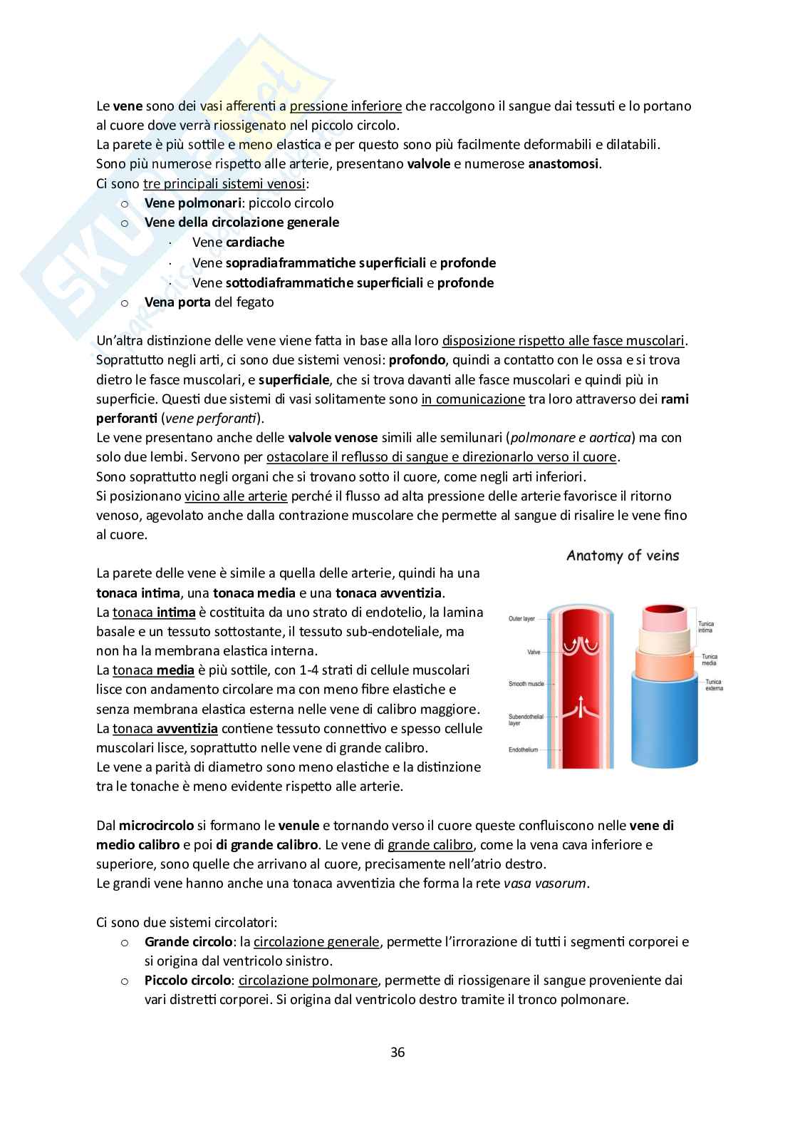 Elementi di Anatomia - Parte 1 Pag. 36