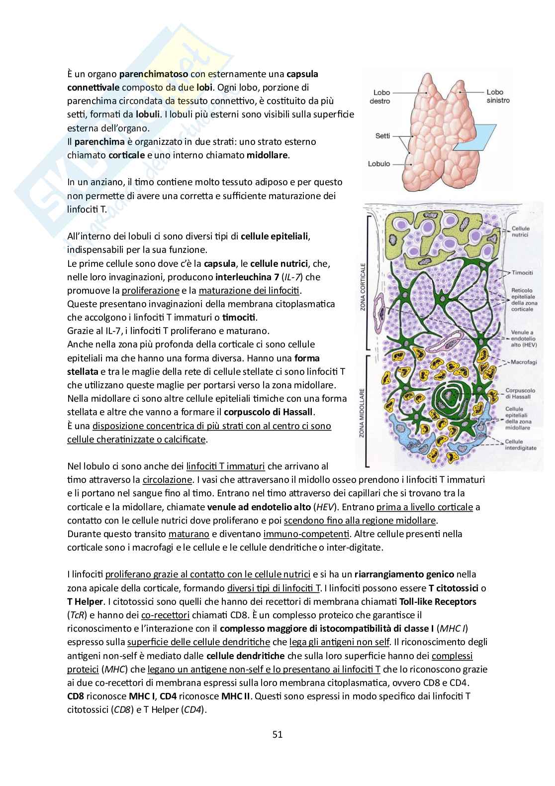 Elementi di Anatomia - Parte 1 Pag. 51