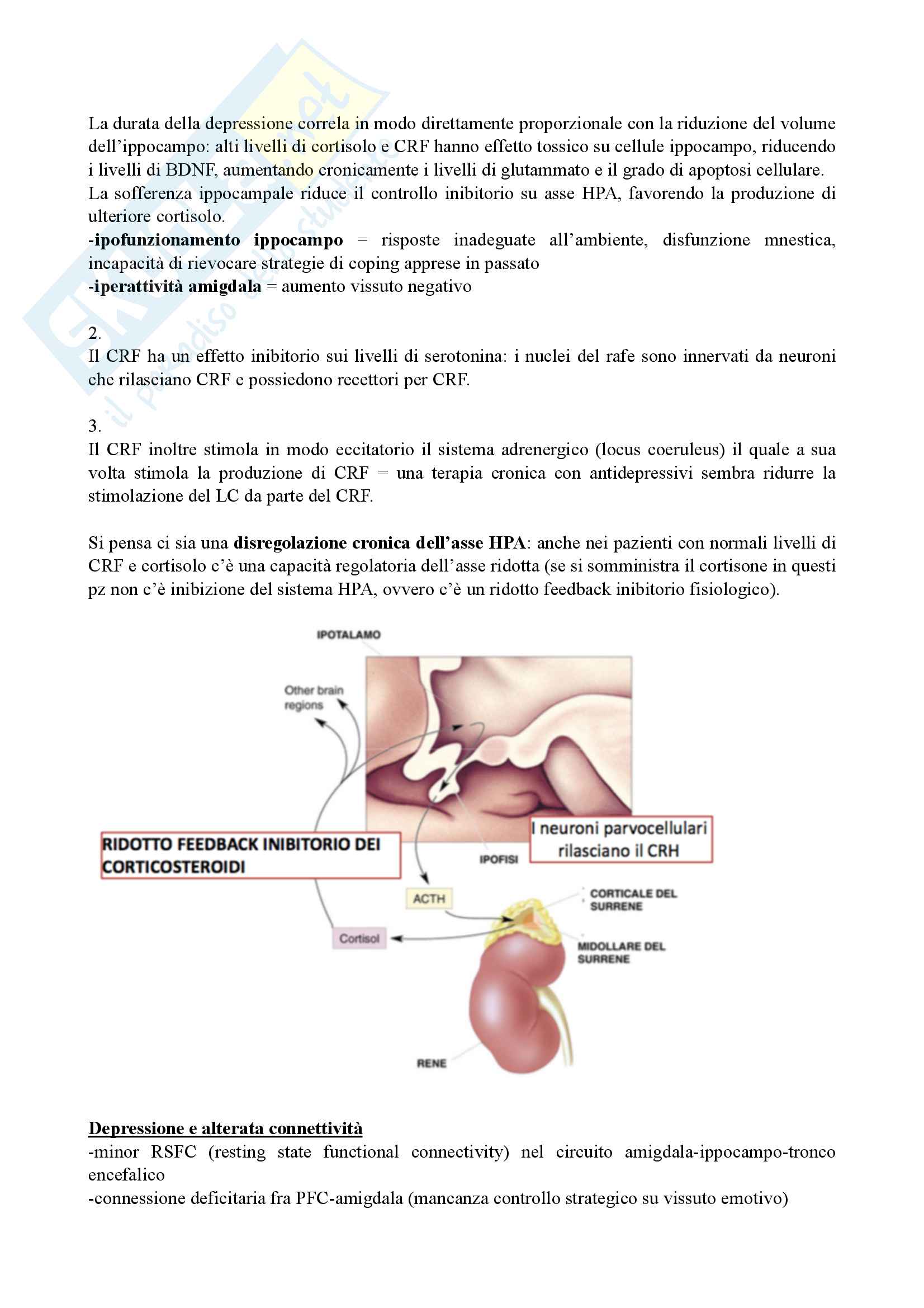 Neuroscienze cognitive in ambito clinico Pag. 46
