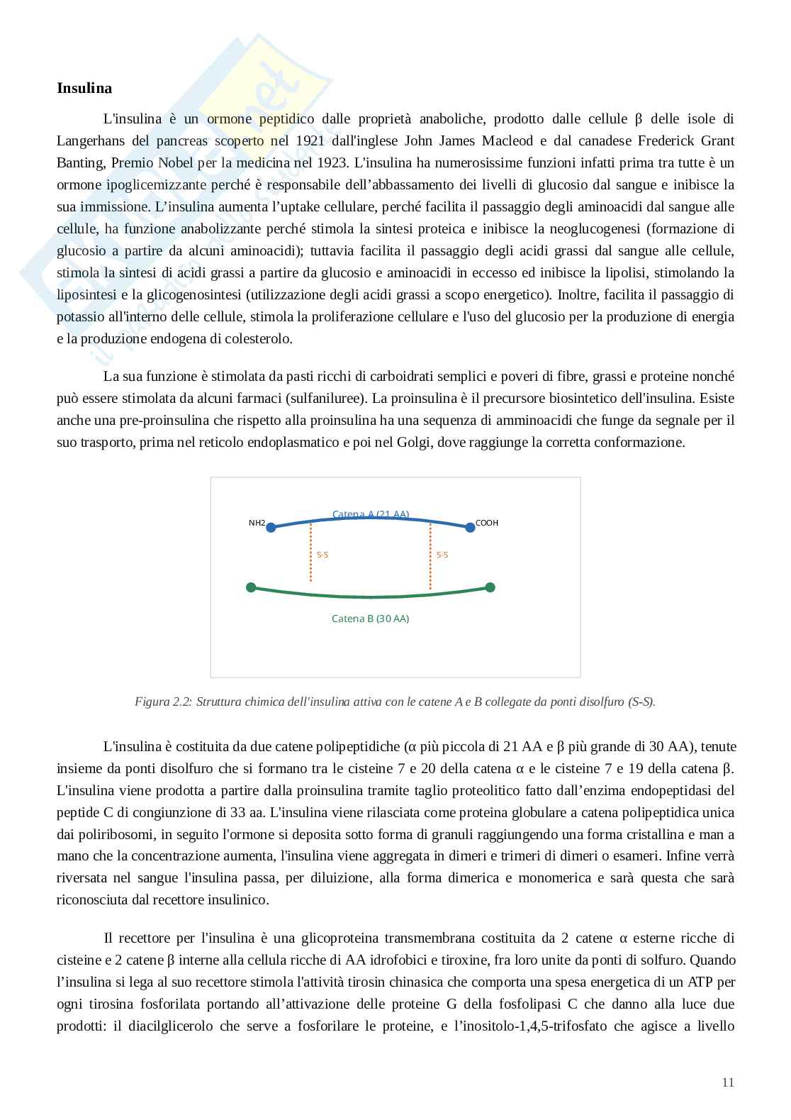 Meccanismi di integrazione neuro-biologico-metabolico Pag. 11