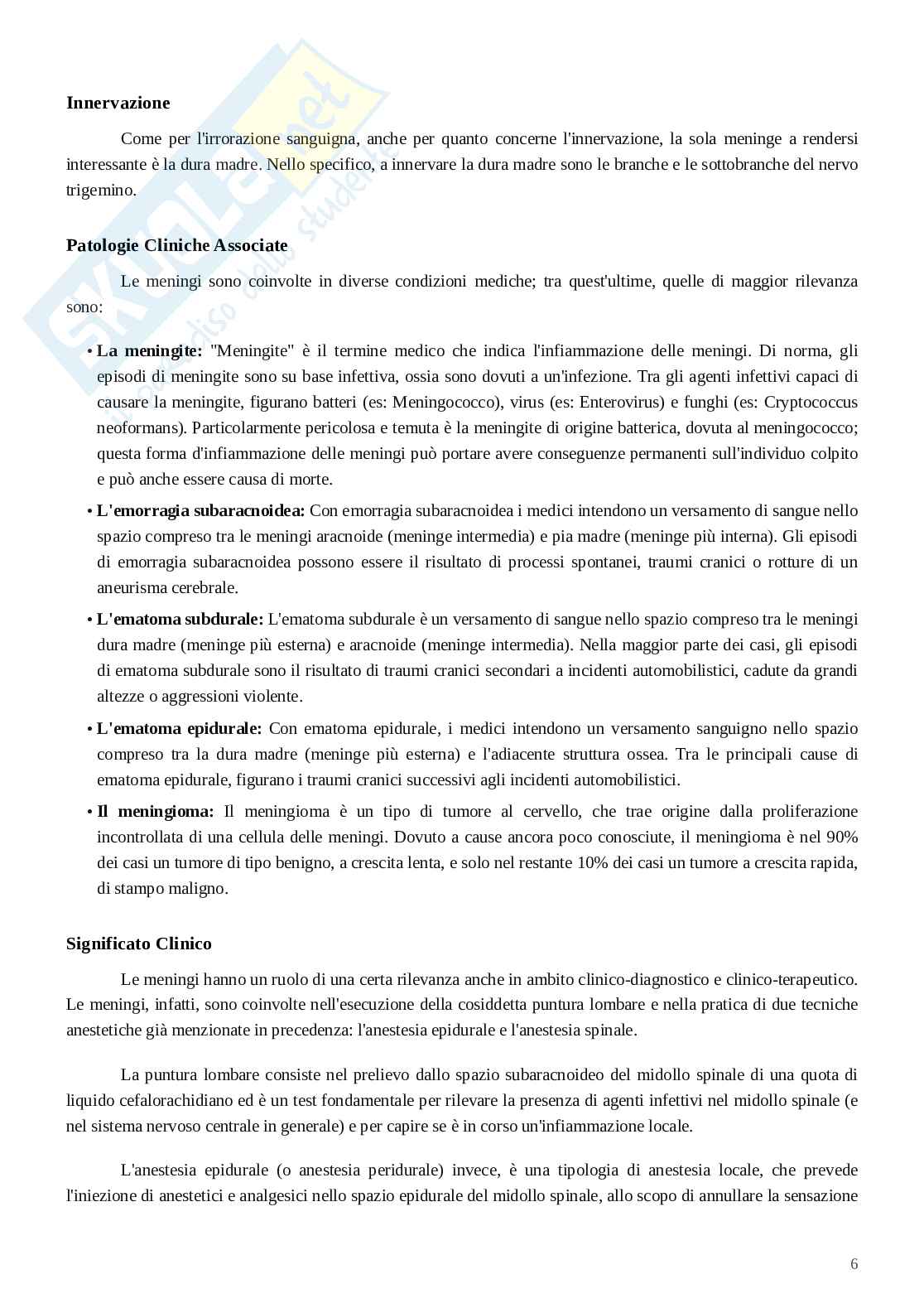 Meccanismi di integrazione neuro-biologico-metabolico Pag. 6