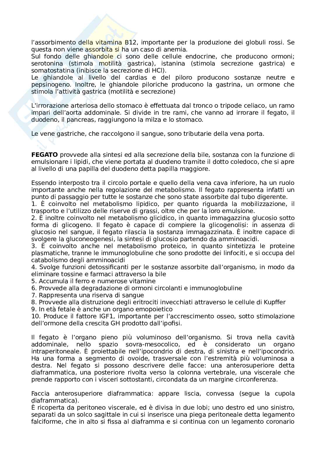 Anatomia umana per le professioni sanitarie Pag. 41
