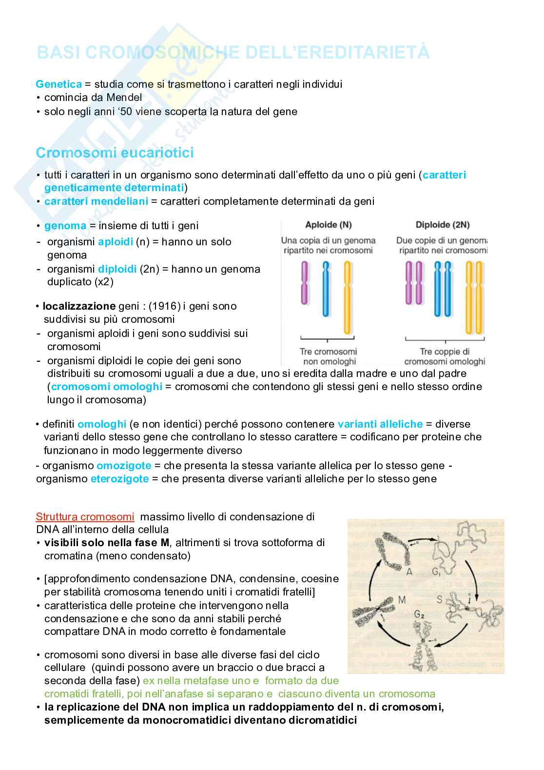 Appunti completi senza esercizi di Genetica generale e elementi di genetica umana Pag. 1