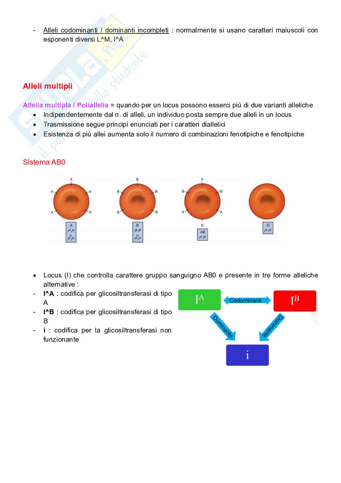 Appunti completi senza esercizi di Genetica generale e elementi di genetica umana Pag. 21