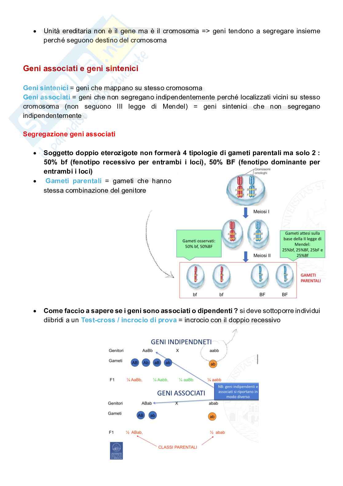Appunti completi senza esercizi di Genetica generale e elementi di genetica umana Pag. 36