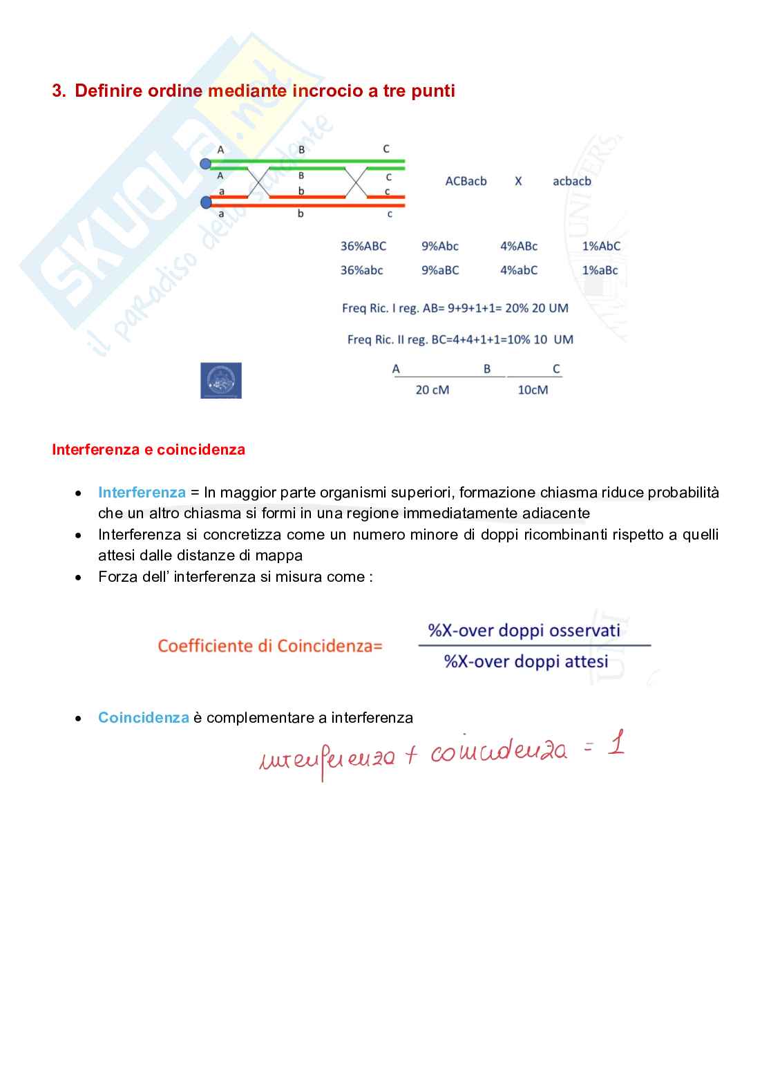 Appunti completi senza esercizi di Genetica generale e elementi di genetica umana Pag. 41