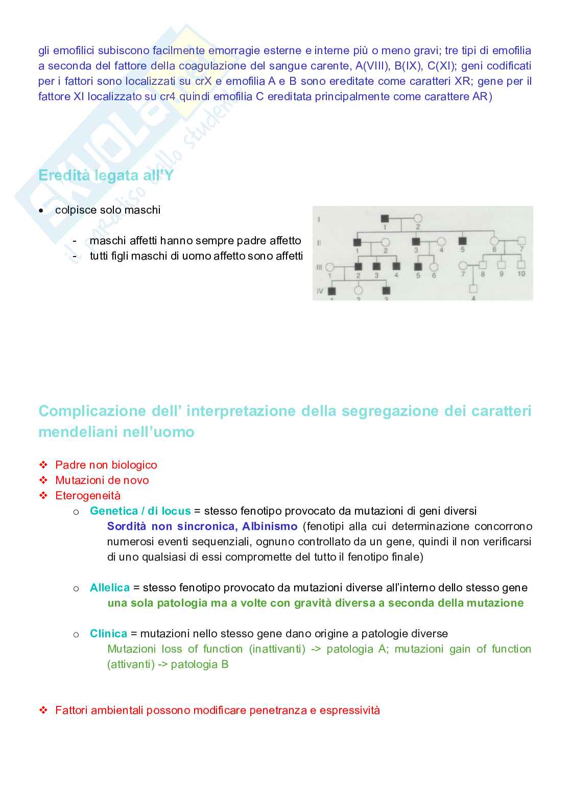 Appunti completi senza esercizi di Genetica generale e elementi di genetica umana Pag. 56