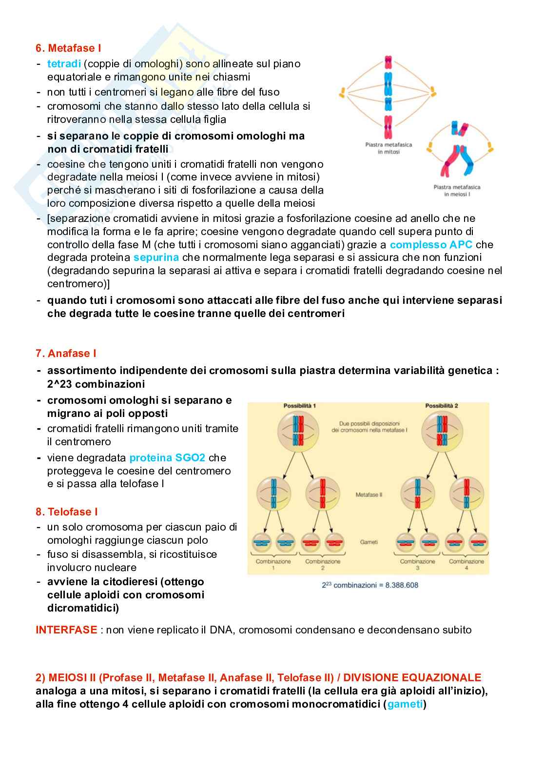 Appunti completi senza esercizi di Genetica generale e elementi di genetica umana Pag. 6