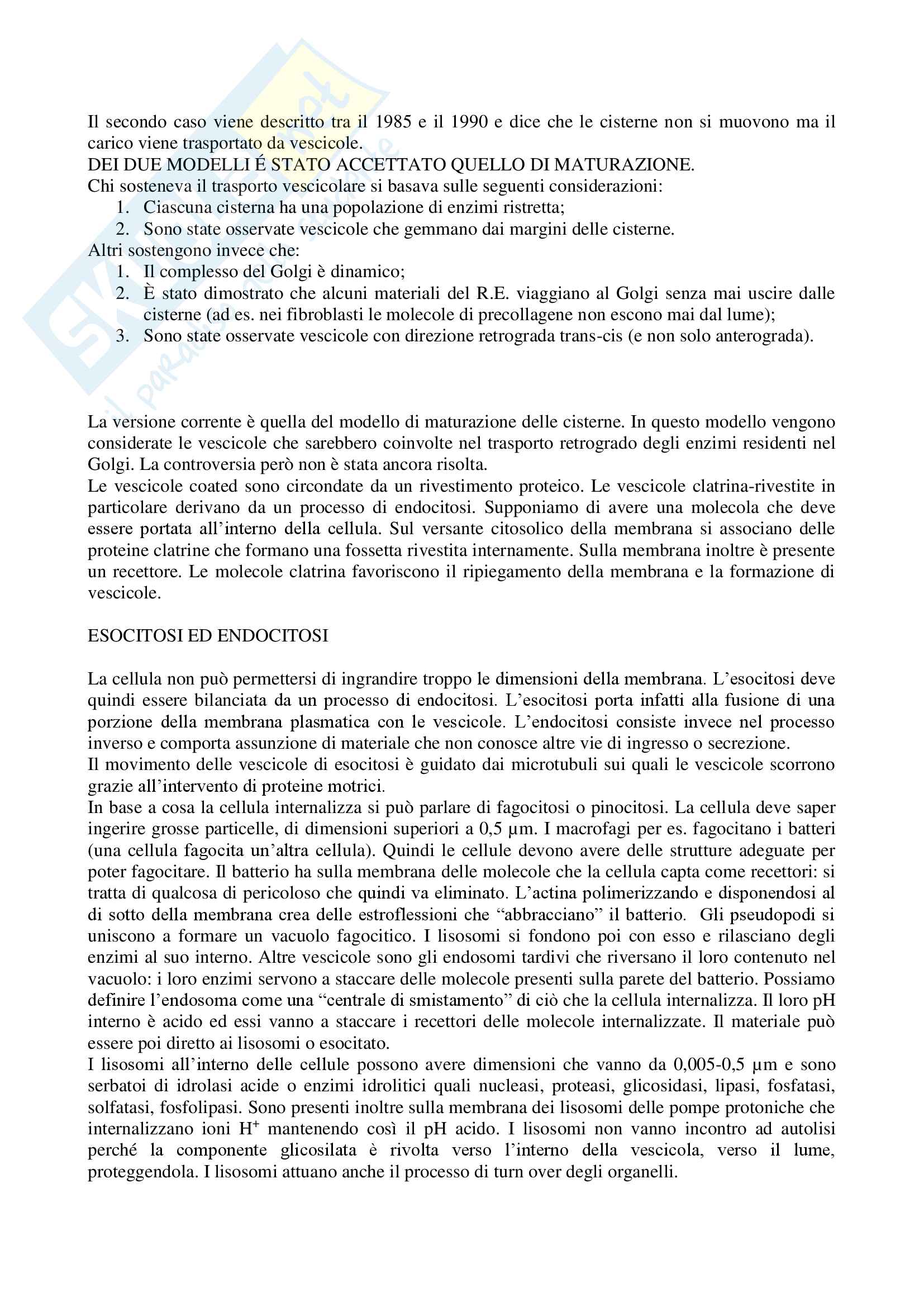 Citologia e istologia Pag. 31