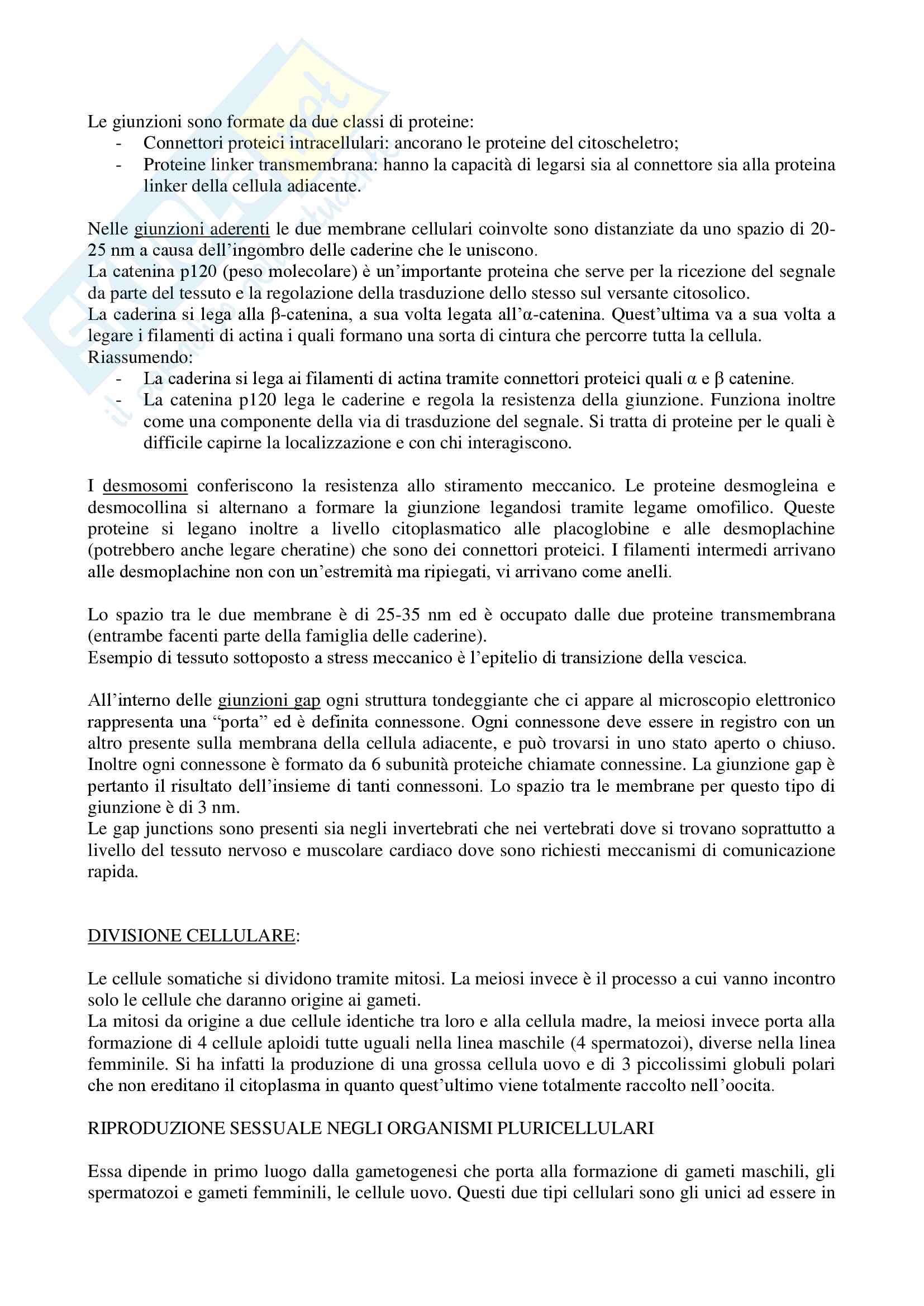 Citologia e istologia Pag. 46