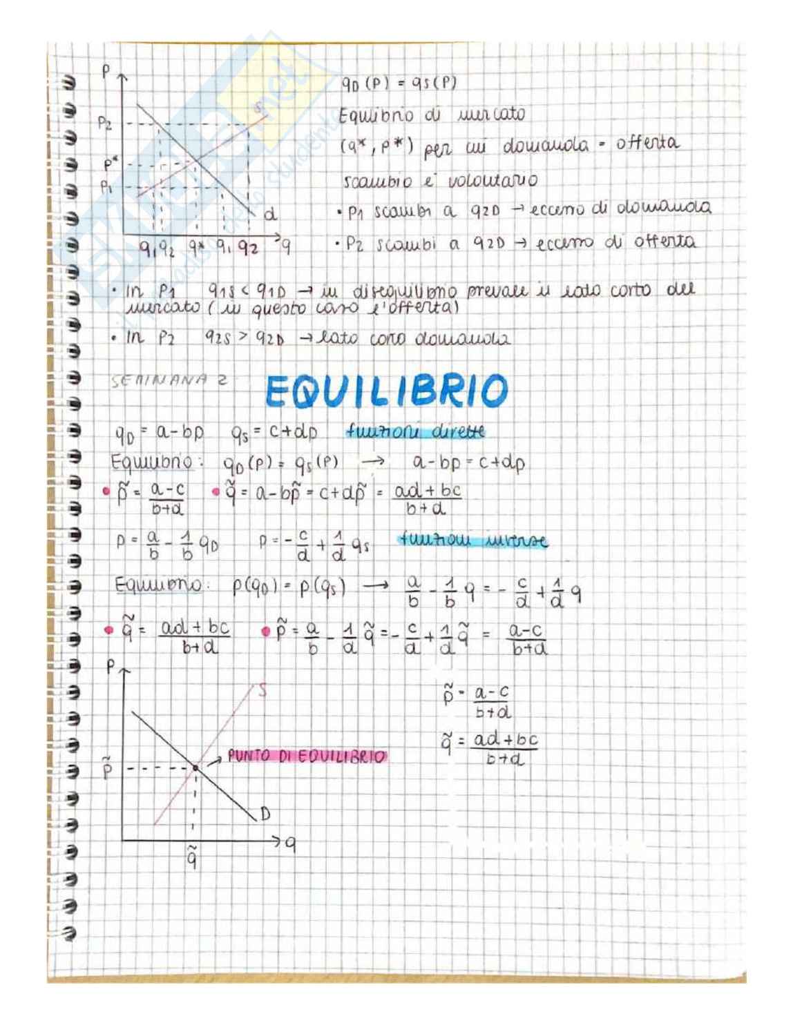 Microeconomia - Appunti Pag. 11