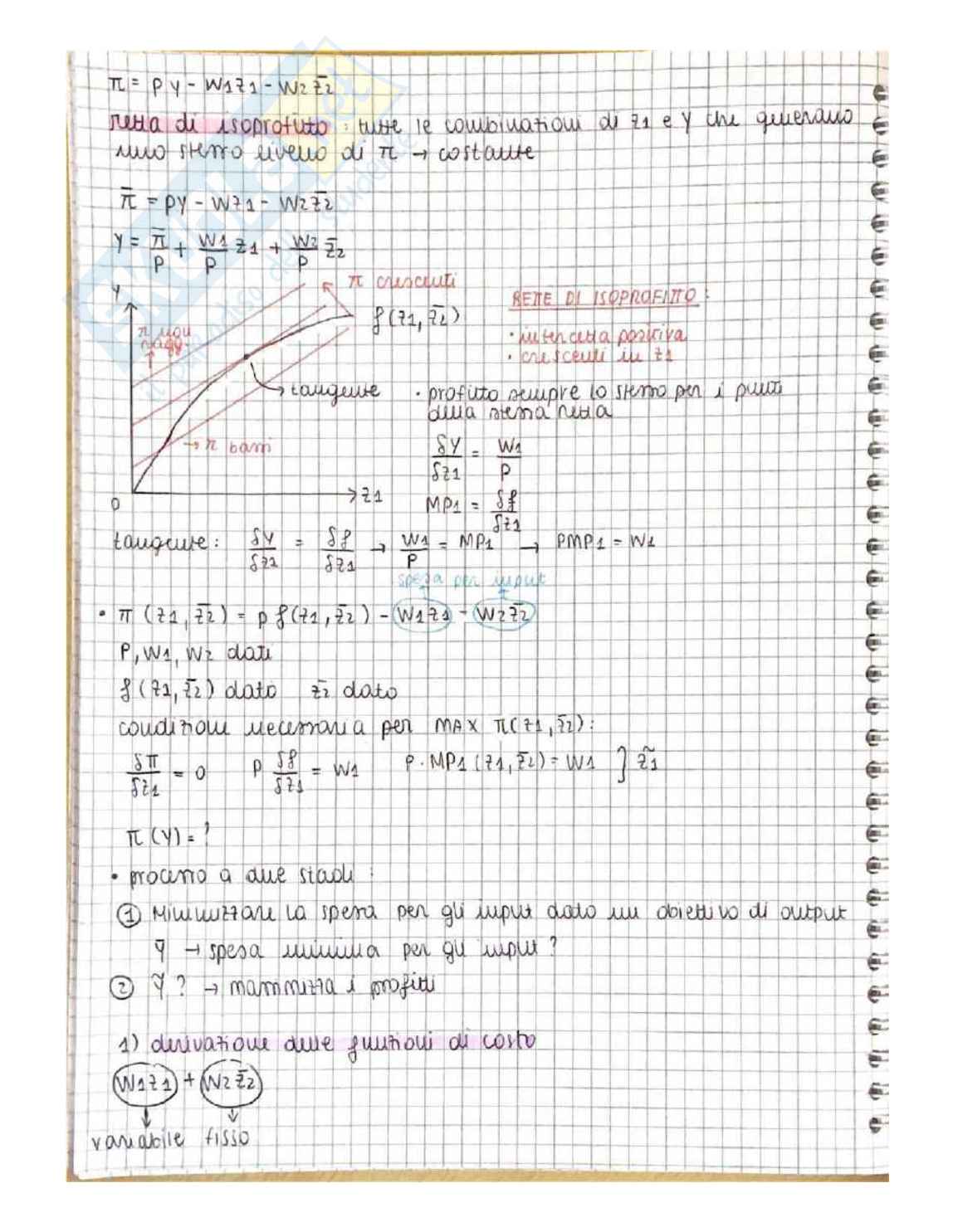 Microeconomia - Appunti Pag. 56