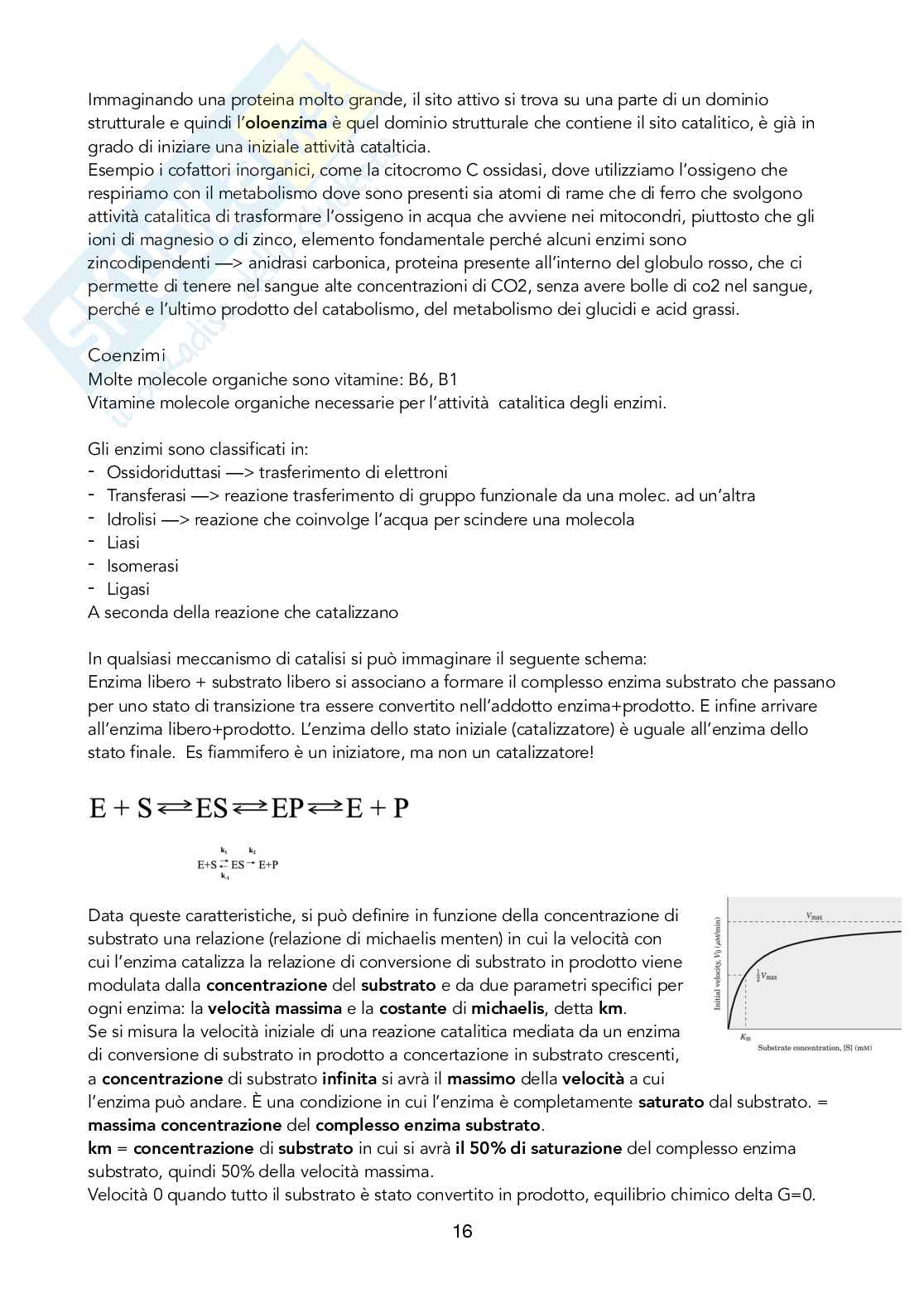 Biochimica Pag. 16