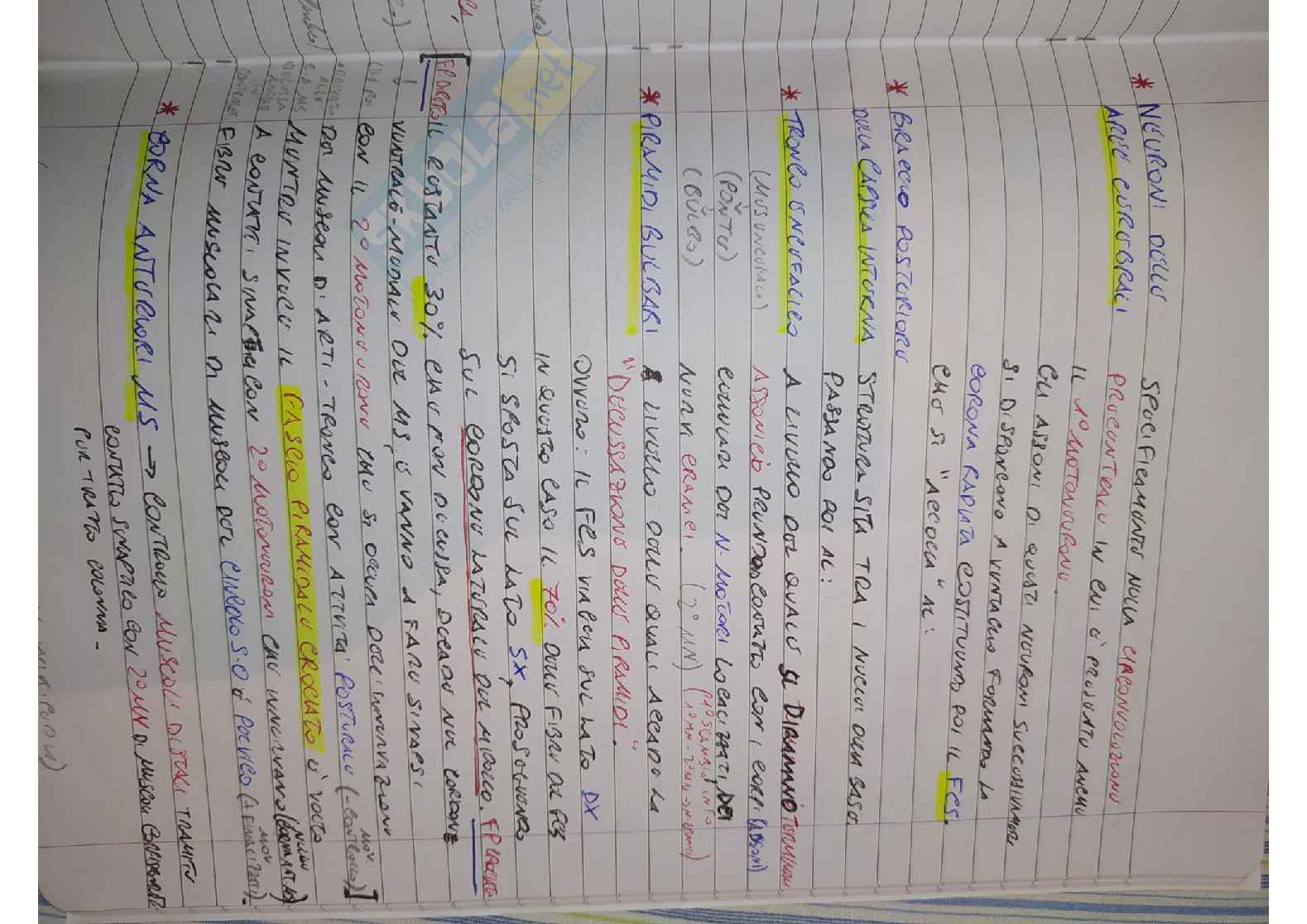 Appunti Neurologia sintetici e completi Pag. 31