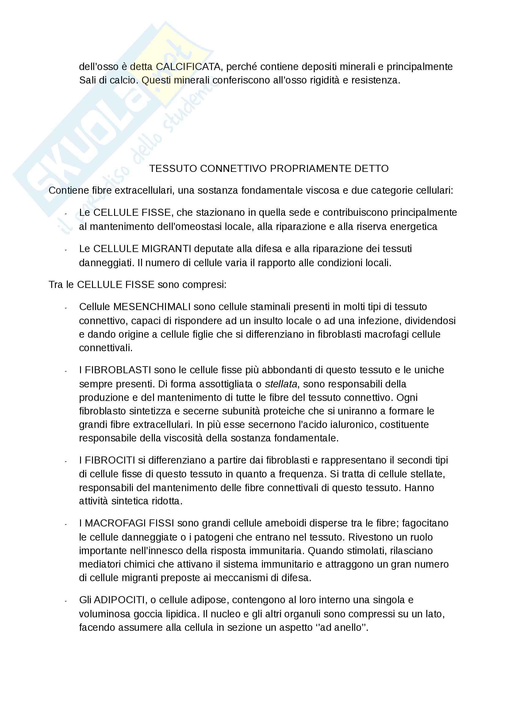 Tessuti Connettivi Pag. 2