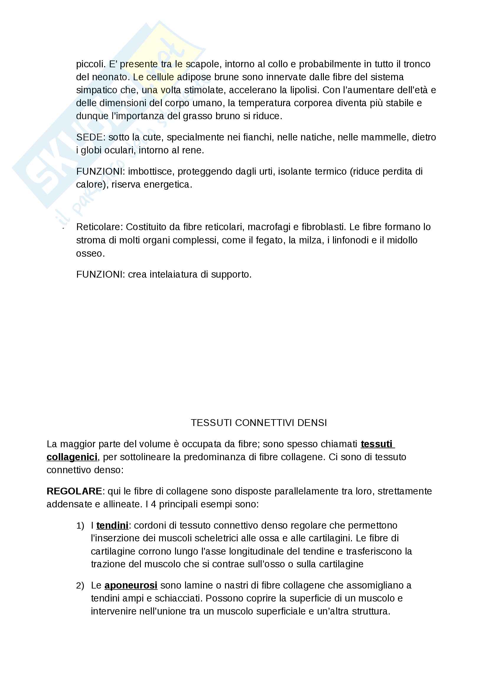 Tessuti Connettivi Pag. 6