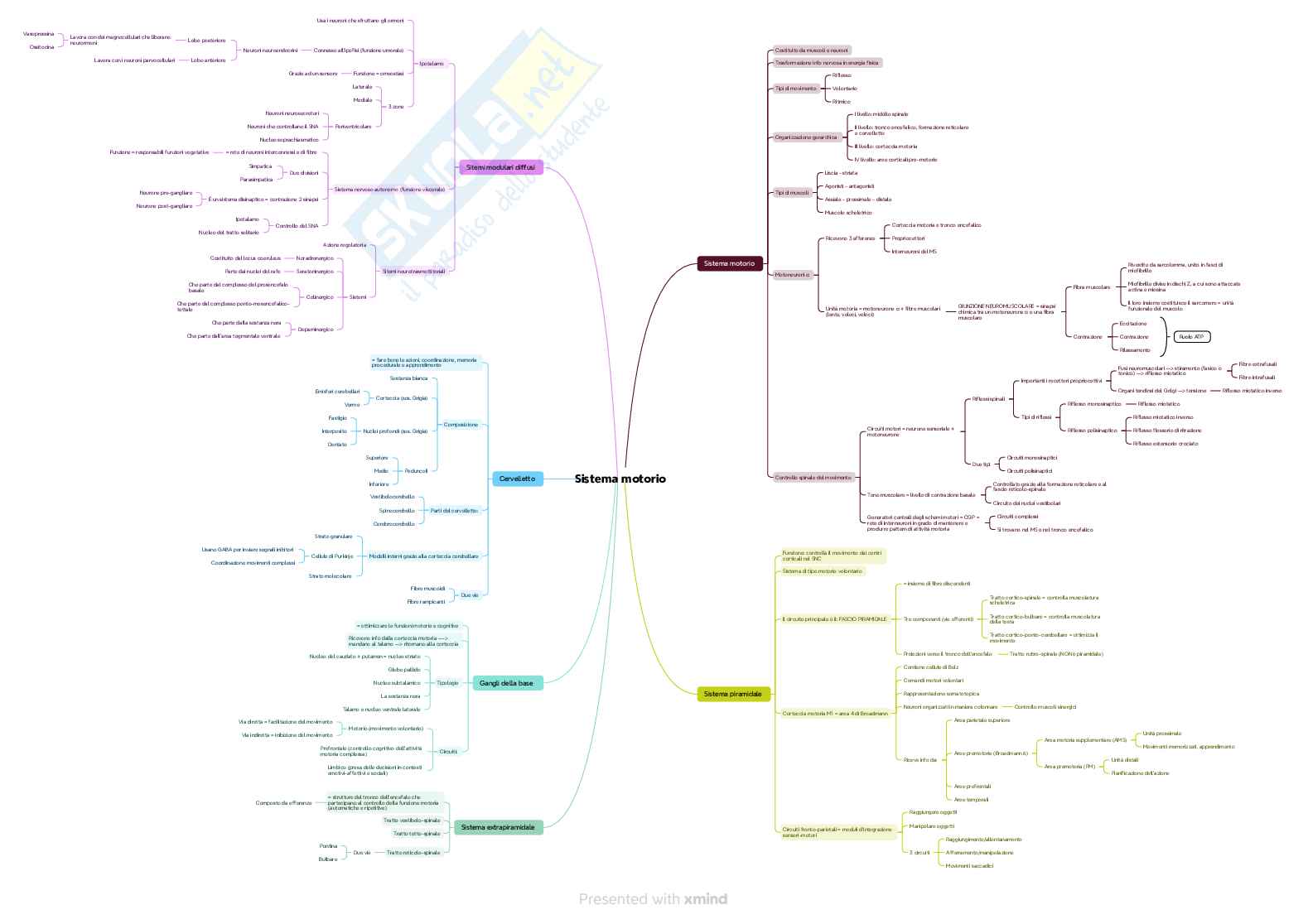 Mappe concettuali Fondamenti anatomofisiologici dell'attività psichica Pag. 1