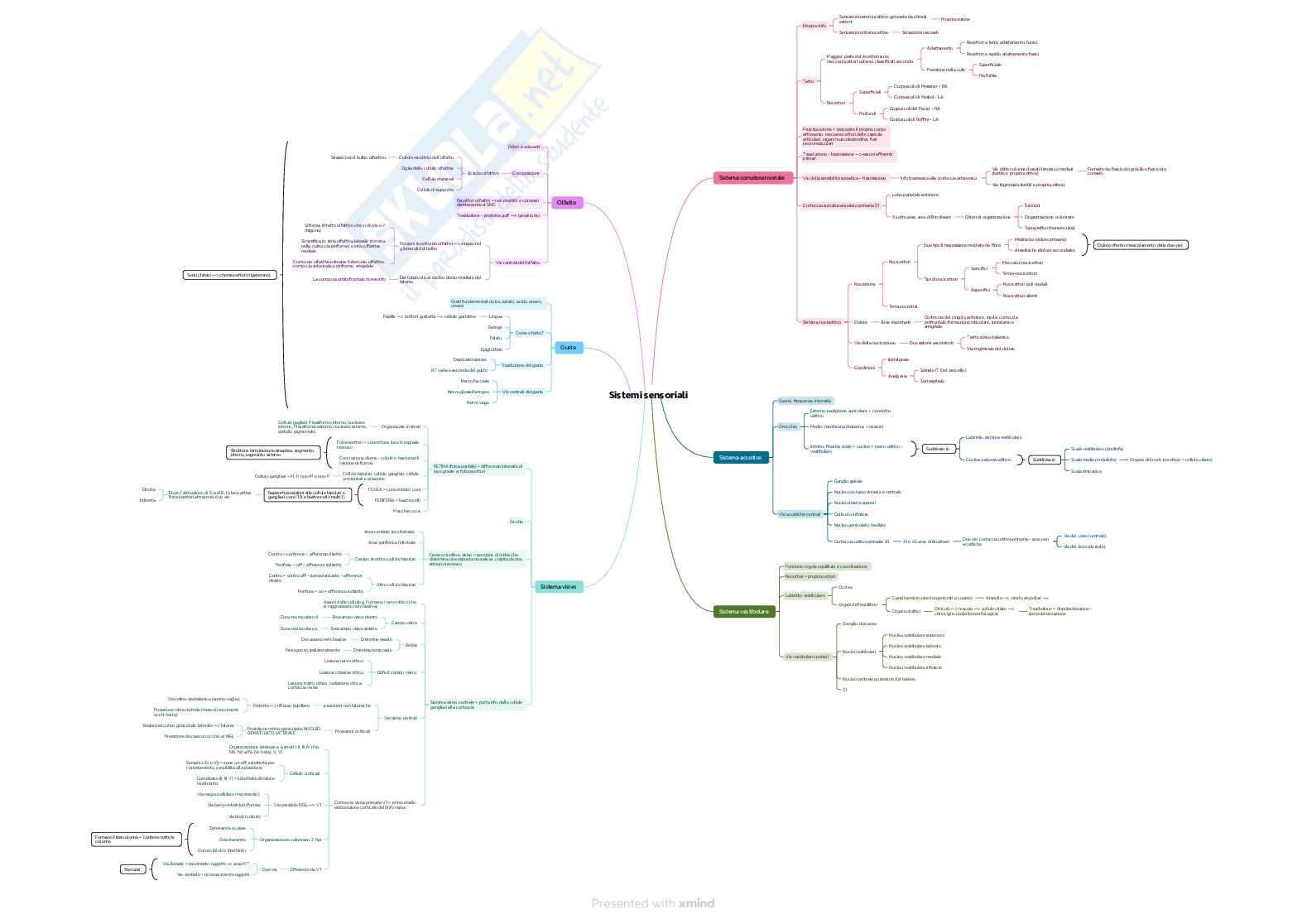 Mappe concettuali Fondamenti anatomofisiologici dell'attività psichica Pag. 2