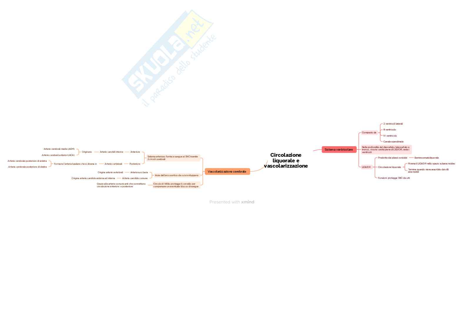 Mappe concettuali Fondamenti anatomofisiologici dell'attività psichica Pag. 6