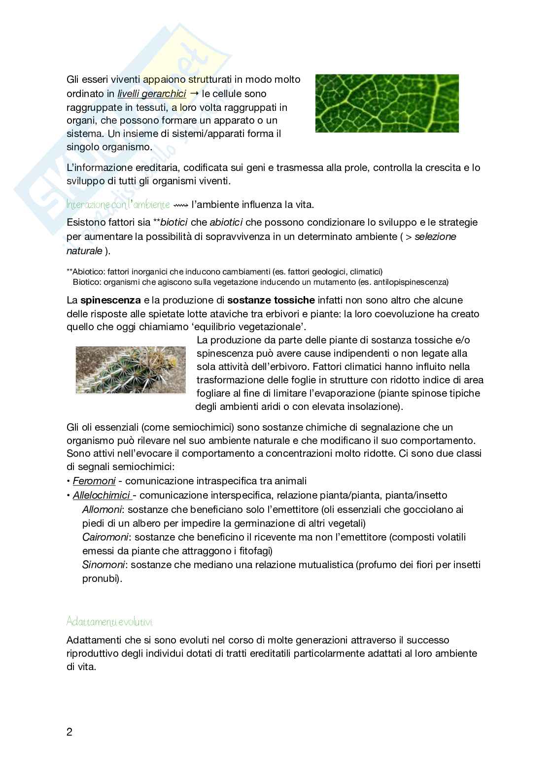 Botanica 1 Pag. 2