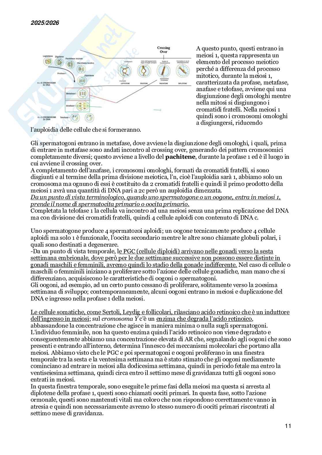 Basi molecolari dello sviluppo embrionale e della medicina rigenerativa Pag. 11
