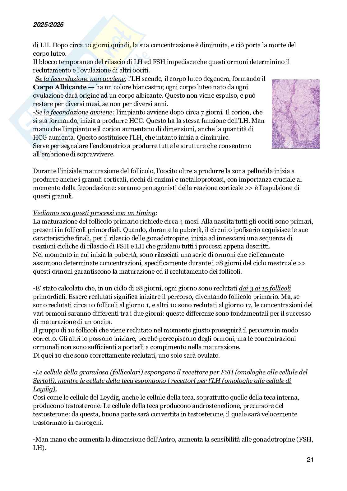Basi molecolari dello sviluppo embrionale e della medicina rigenerativa Pag. 21