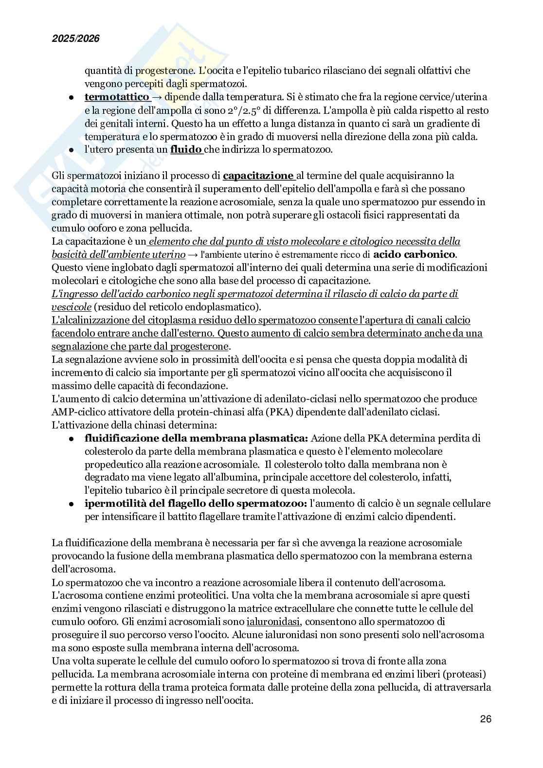 Basi molecolari dello sviluppo embrionale e della medicina rigenerativa Pag. 26