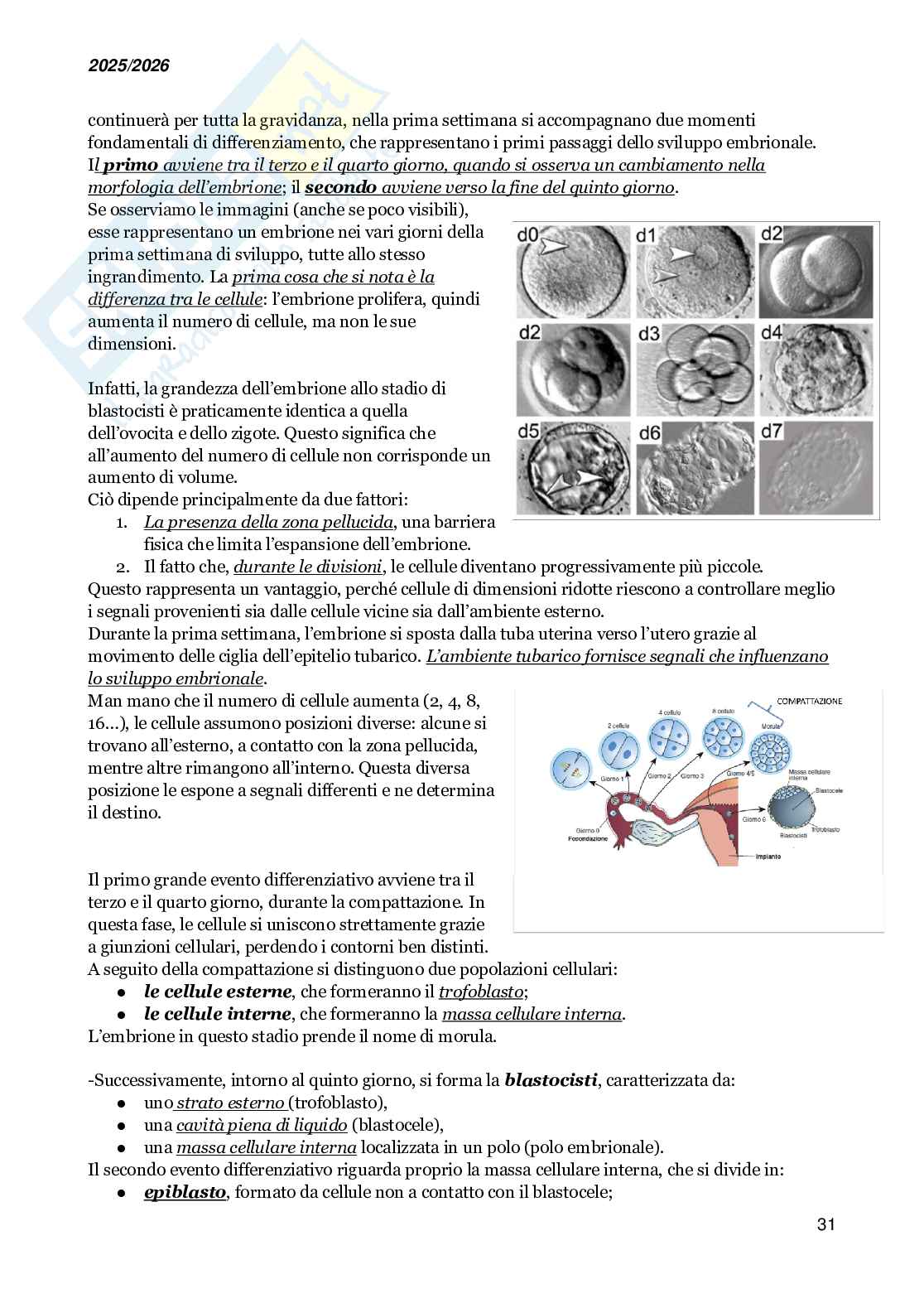 Basi molecolari dello sviluppo embrionale e della medicina rigenerativa Pag. 31
