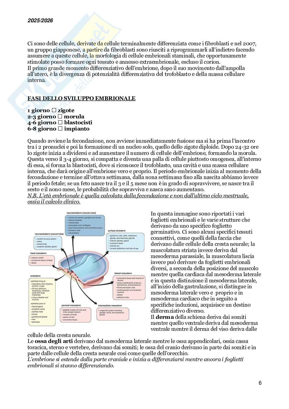 Basi molecolari dello sviluppo embrionale e della medicina rigenerativa Pag. 6