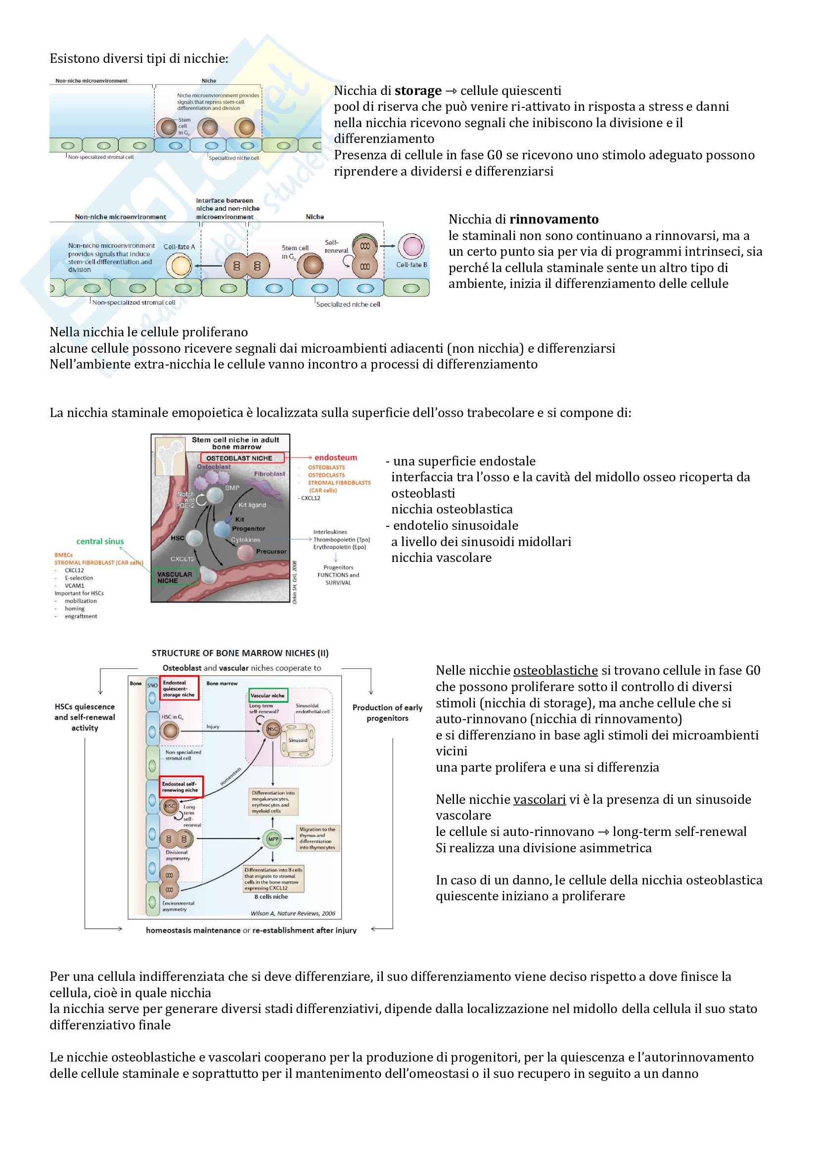Patologia generale Pag. 21