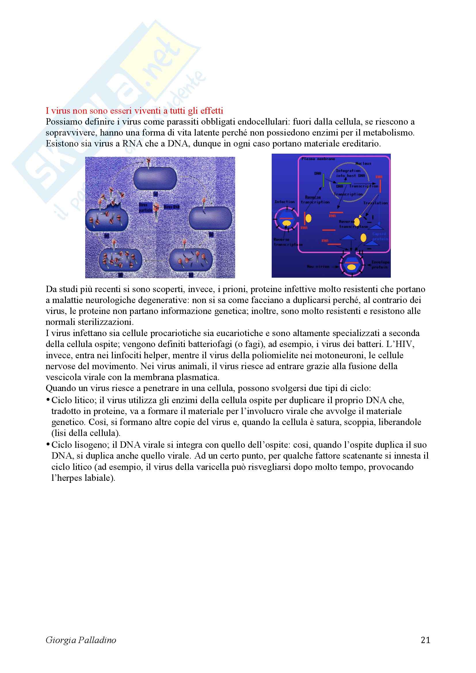 Biologia Cellulare Pag. 21