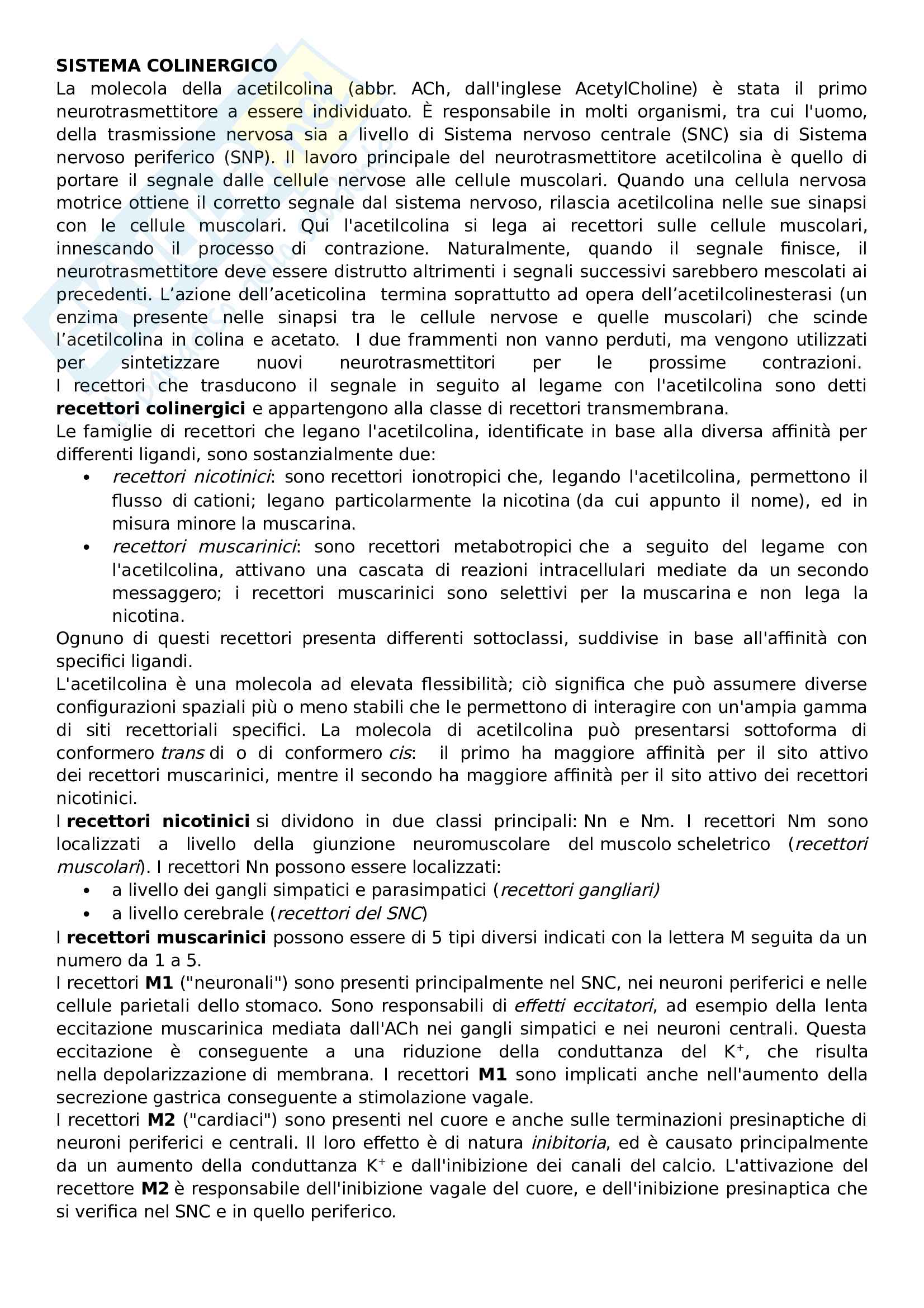 Sistema colinergico Pag. 1