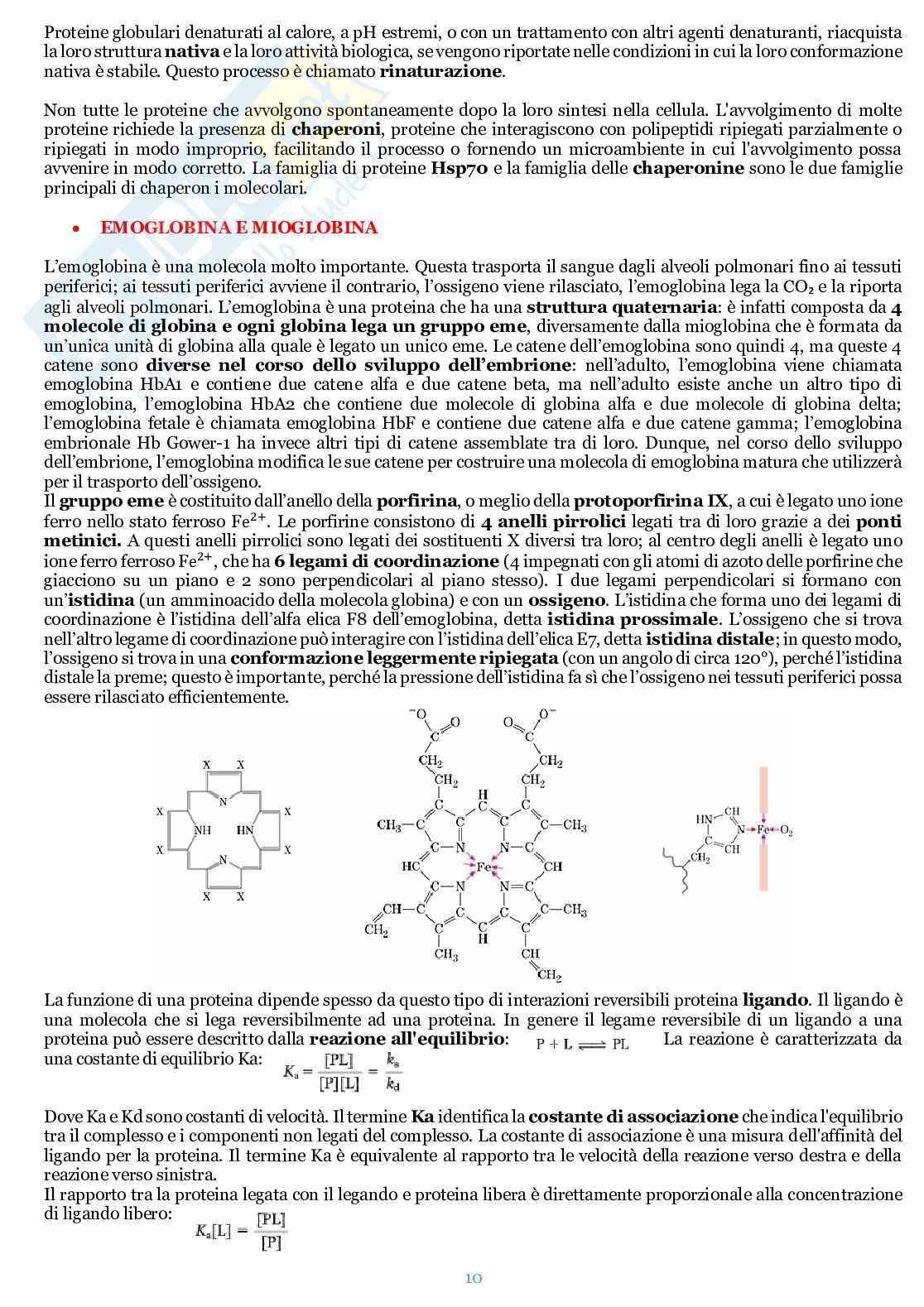 Appunti di Biochimica  Pag. 11