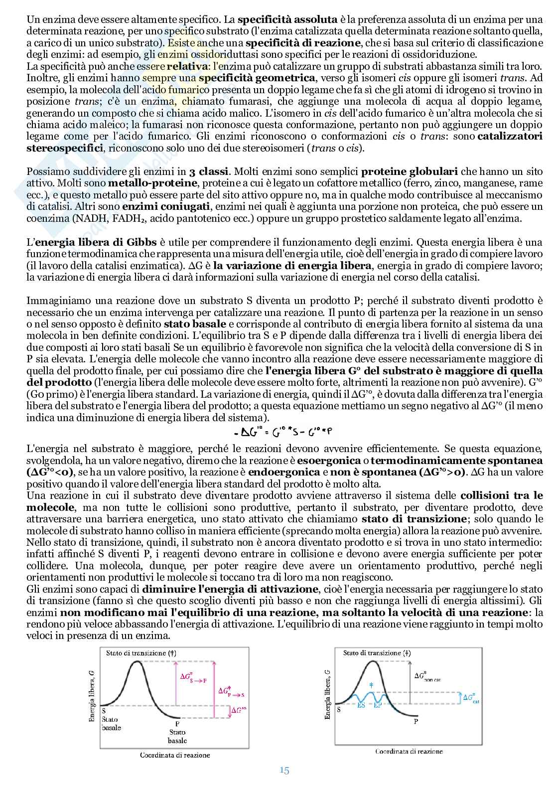 Appunti di Biochimica  Pag. 16