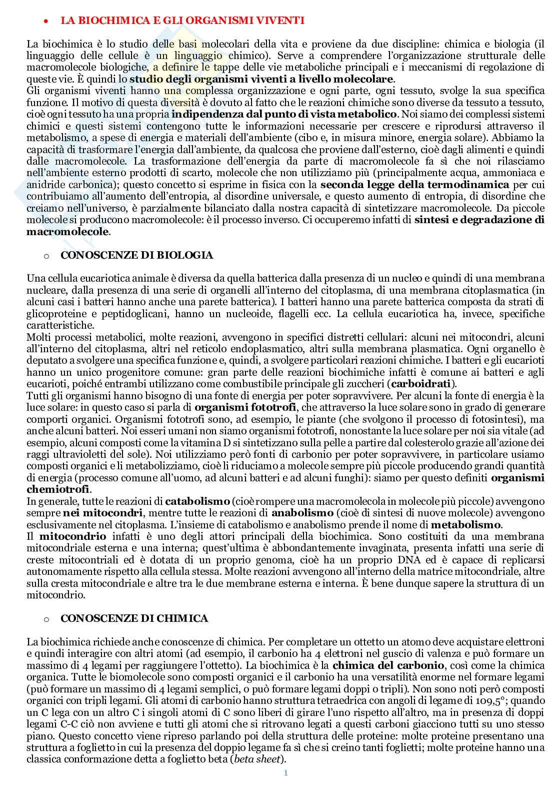 Appunti di Biochimica  Pag. 2