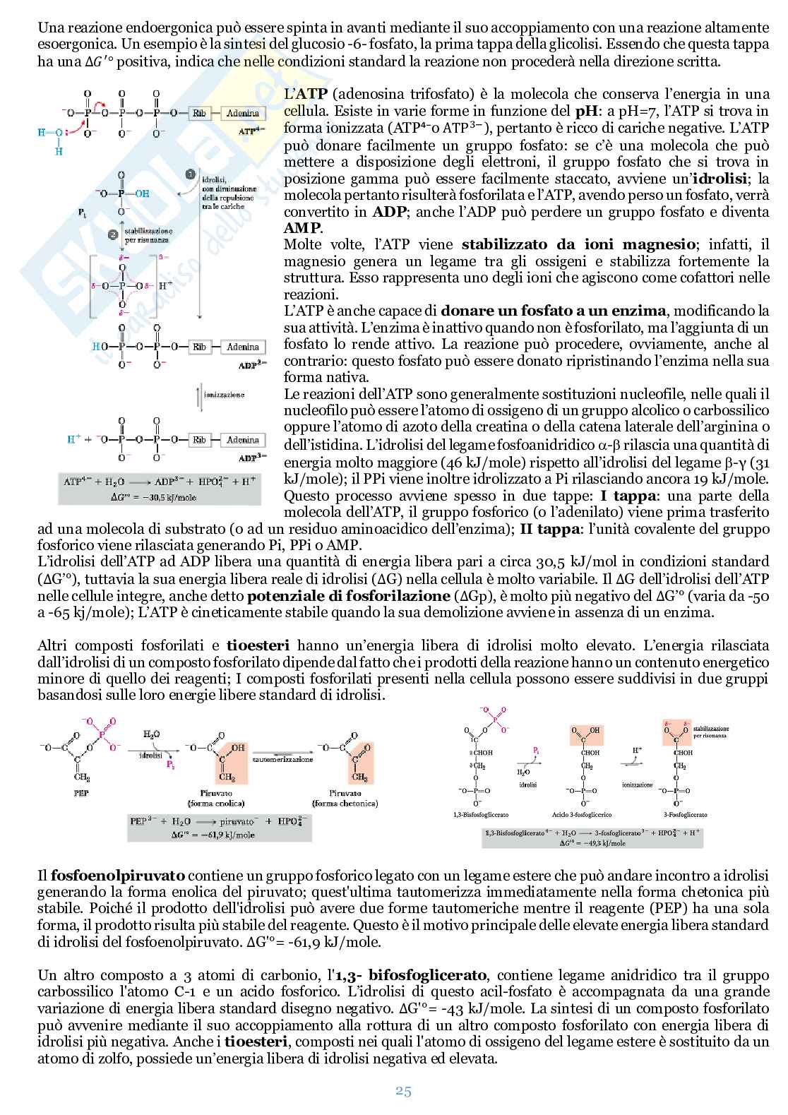 Appunti di Biochimica  Pag. 26