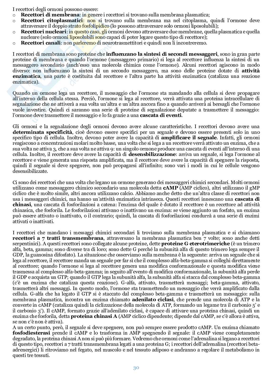 Appunti di Biochimica  Pag. 31