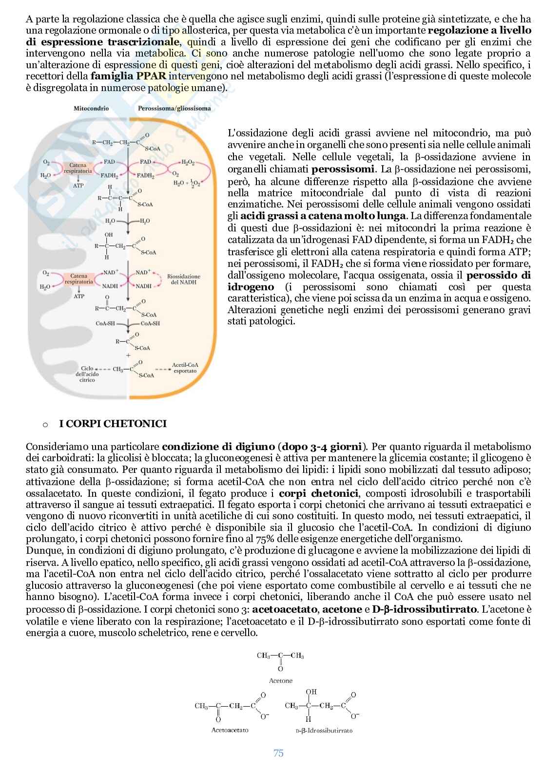 Appunti di Biochimica  Pag. 76