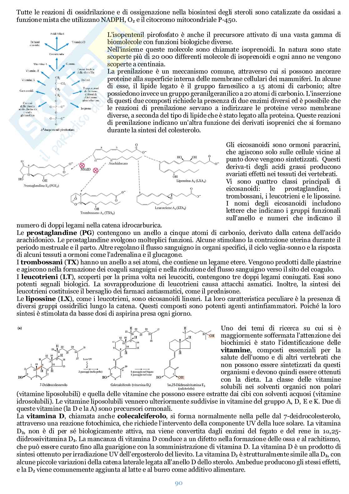 Appunti di Biochimica  Pag. 91