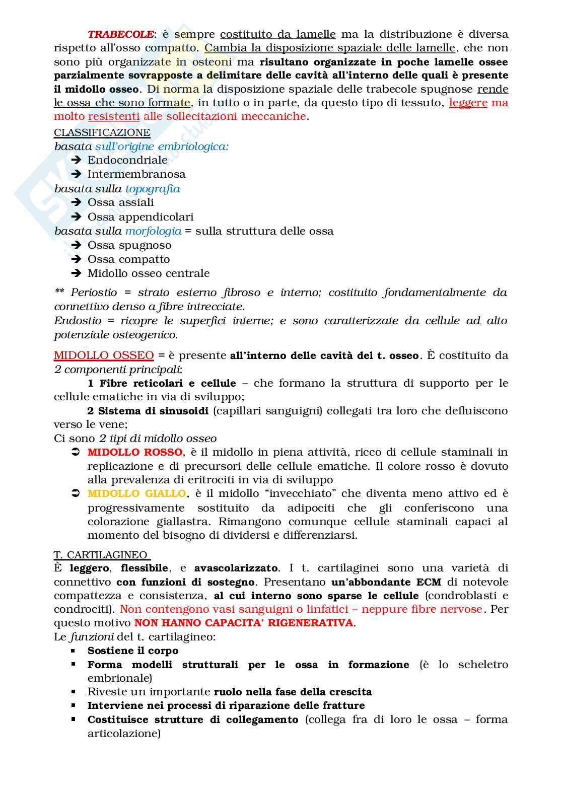 Istologia, i 4 tipi di tessuto Pag. 11
