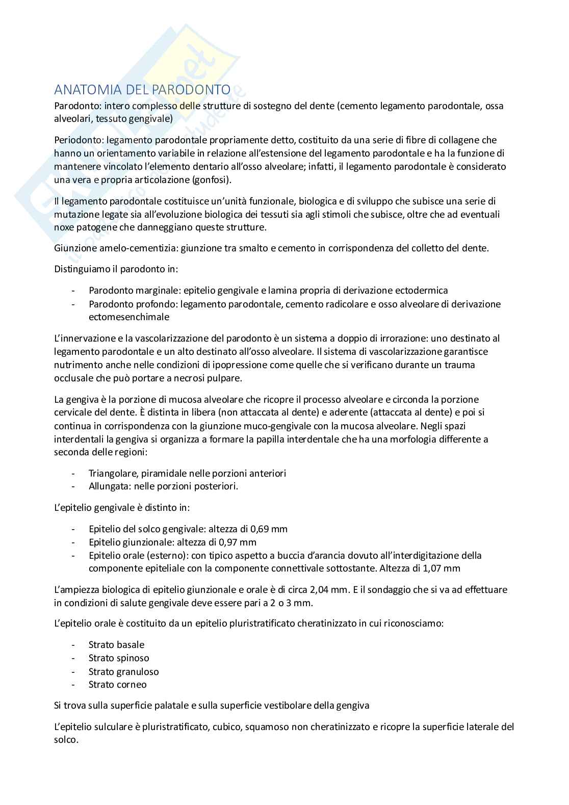 Anatomia dell'apparato stomatognatico  Pag. 1