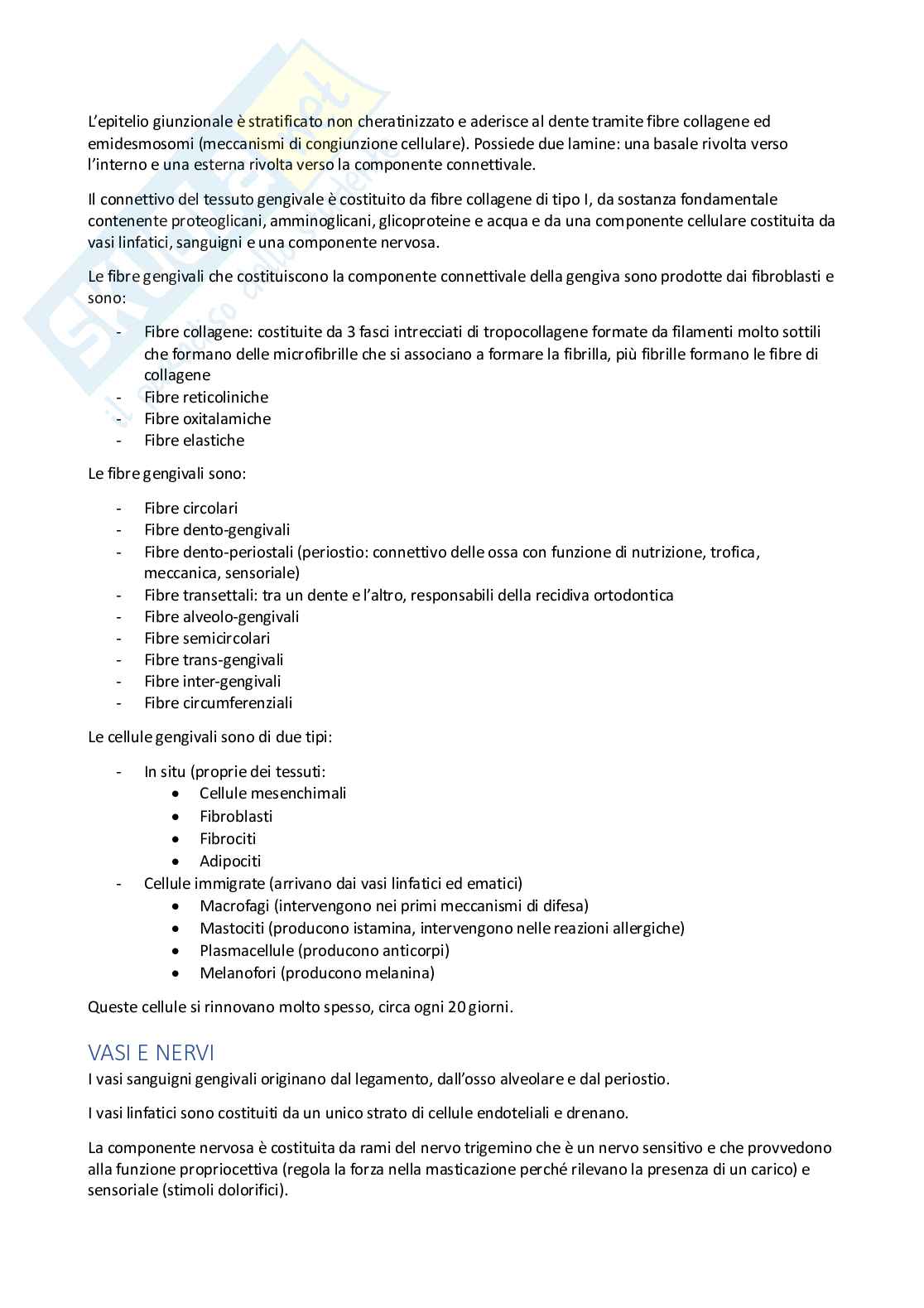 Anatomia dell'apparato stomatognatico  Pag. 2